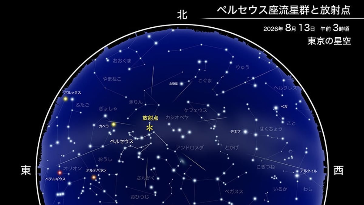 夏の夜空に流れ星がいっぱい ペルセウス座流星群が13日に極大